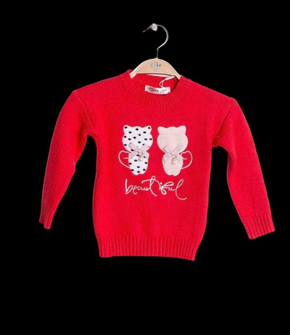 Pull-over rouge avec deux petits chatons beautiful